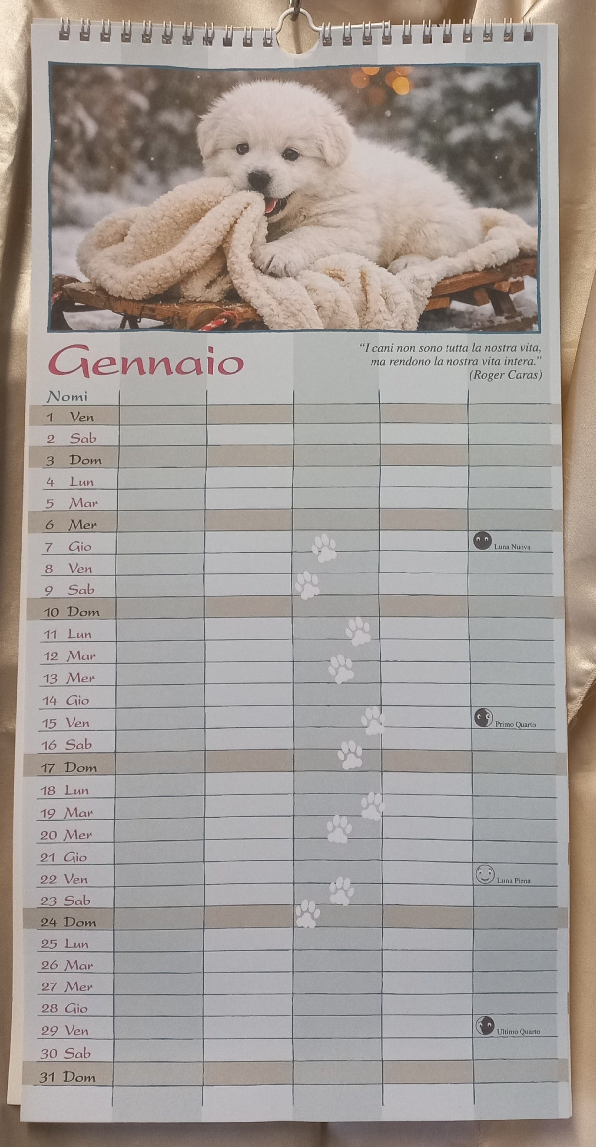 Calendario agenda 2027 LOVELY DOGS