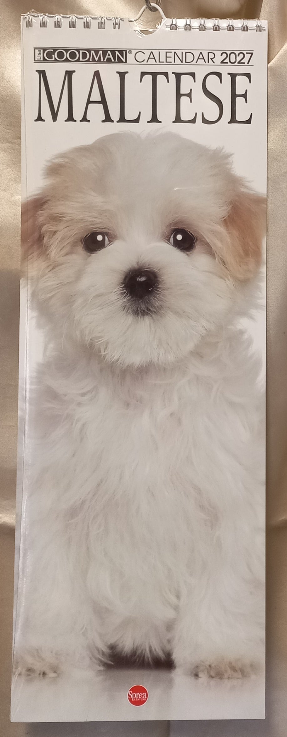Calendario 2027 Cane MALTESE (formato 15x40)