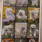 Calendario 2027 Cane MALTESE (formato 15x40)