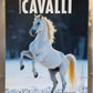 CALENDARIO 2026 PASSIONE CAVALLI