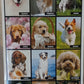 CALENDARIO 2026 CANI