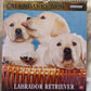 CALENDARIO 2026 CANI LABRADOR RETRIEVER
