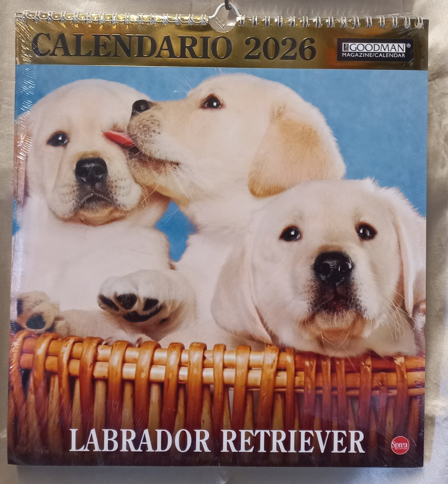 CALENDARIO 2026 CANI LABRADOR RETRIEVER