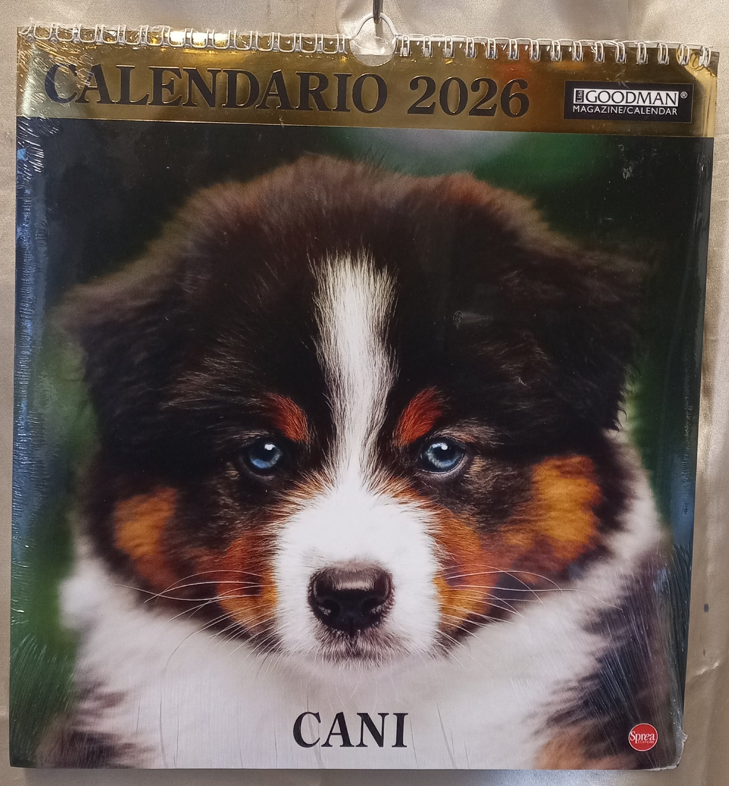 CALENDARIO 2026 CANI