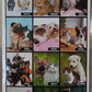 CALENDARIO 2026 CANI & GATTI Amici felici