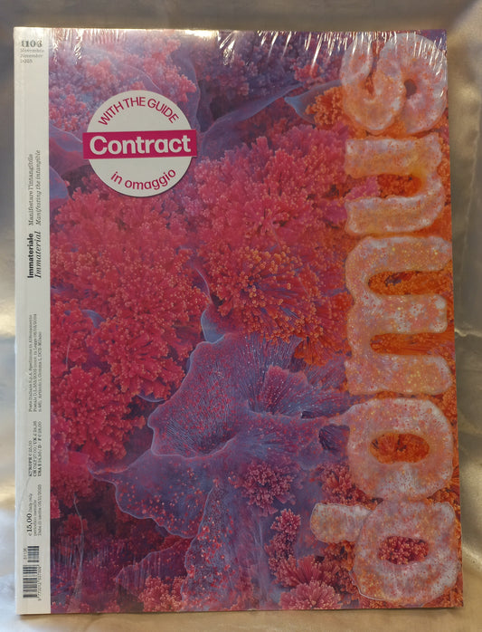 DOMUS n. 1160 Novembre 2025