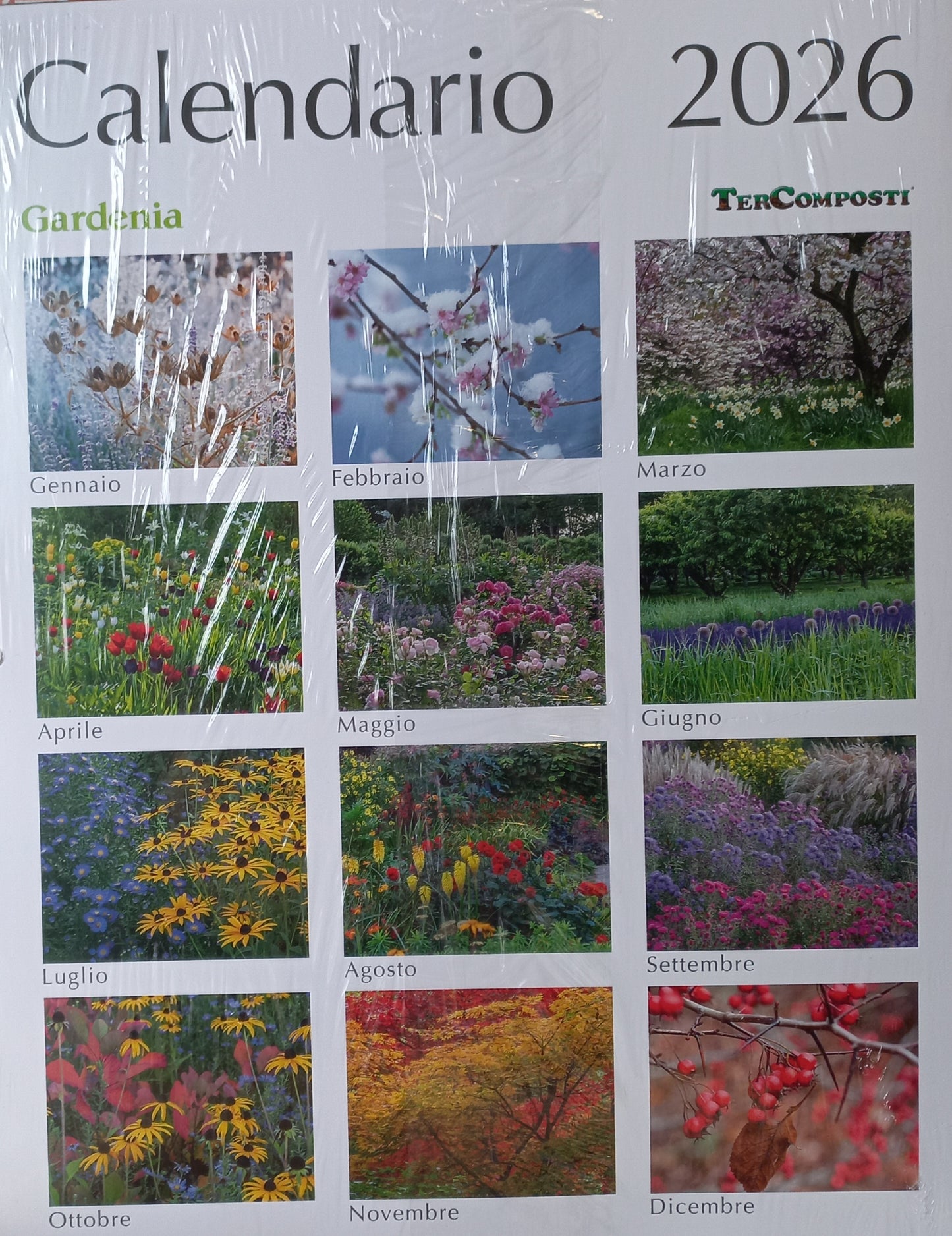 GARDENIA + CALENDARIO 2026 - n.500 Dicembre 2025