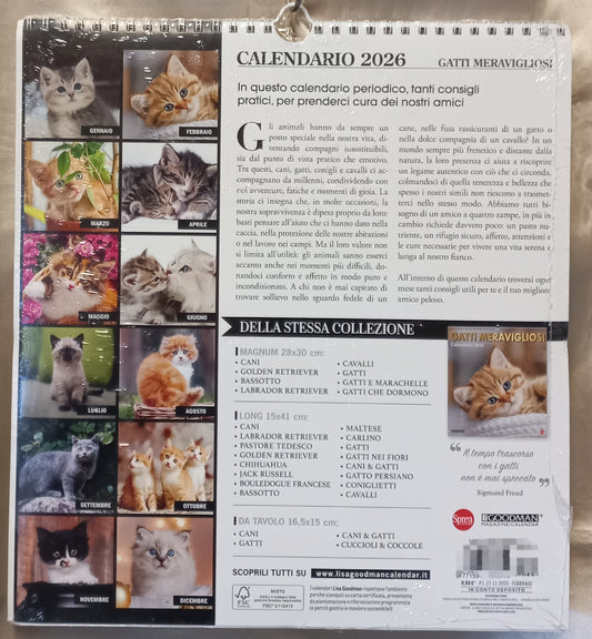 CALENDARIO 2026 GATTI MERAVIGLIOSI