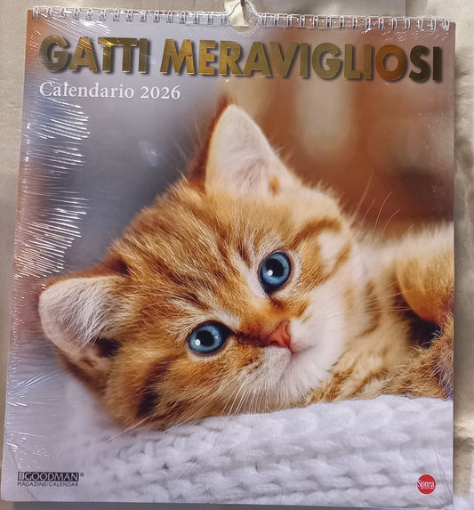 CALENDARIO 2026 GATTI MERAVIGLIOSI