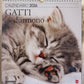 CALENDARIO 2026 GATTI che DORMONO