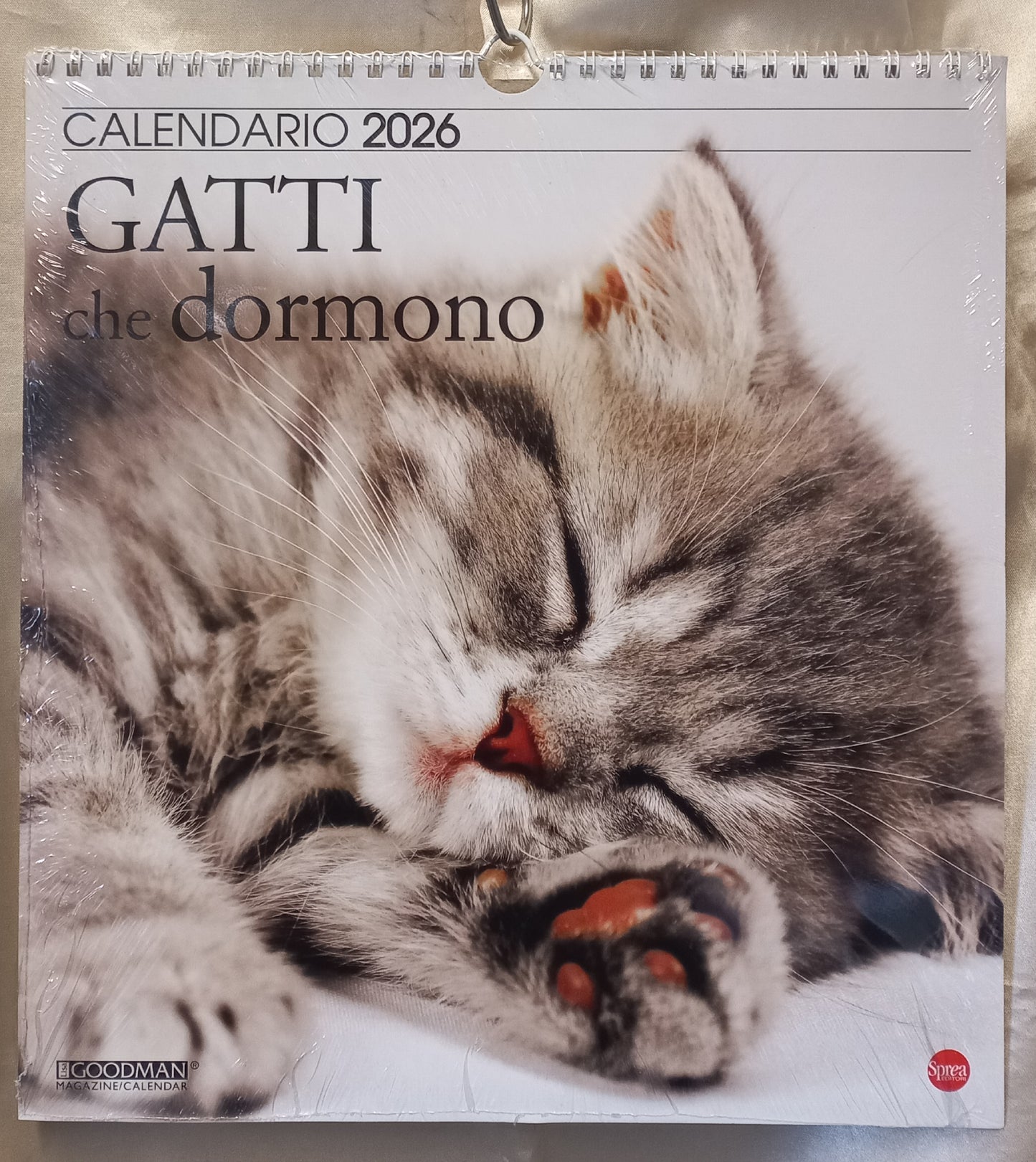 CALENDARIO 2026 GATTI che DORMONO