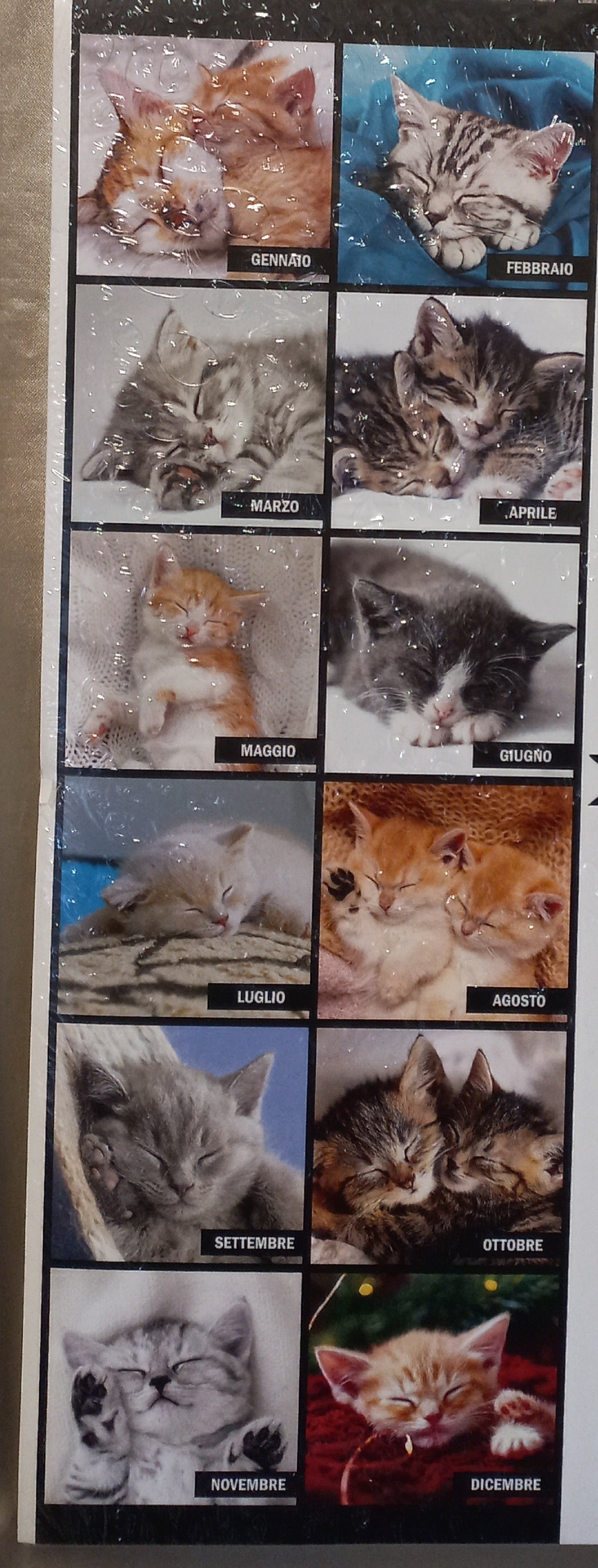 CALENDARIO 2026 GATTI che DORMONO