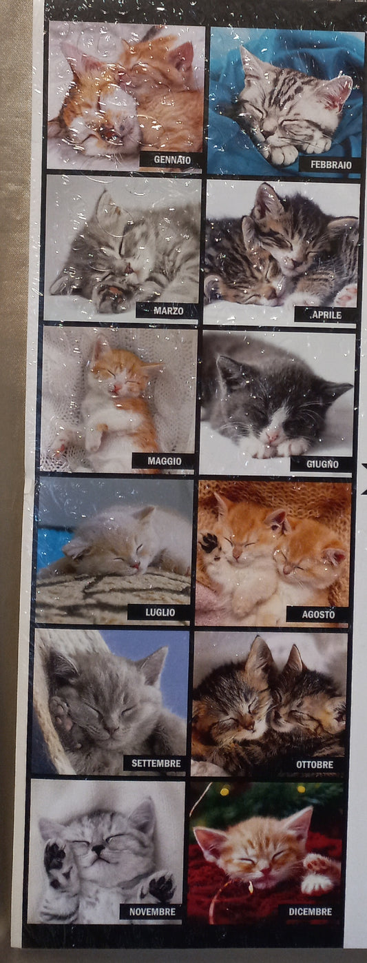 CALENDARIO 2026 GATTI che DORMONO