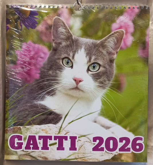 CALENDARIO 2026 GATTI