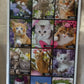 CALENDARIO 2026 GATTI nei FIORI