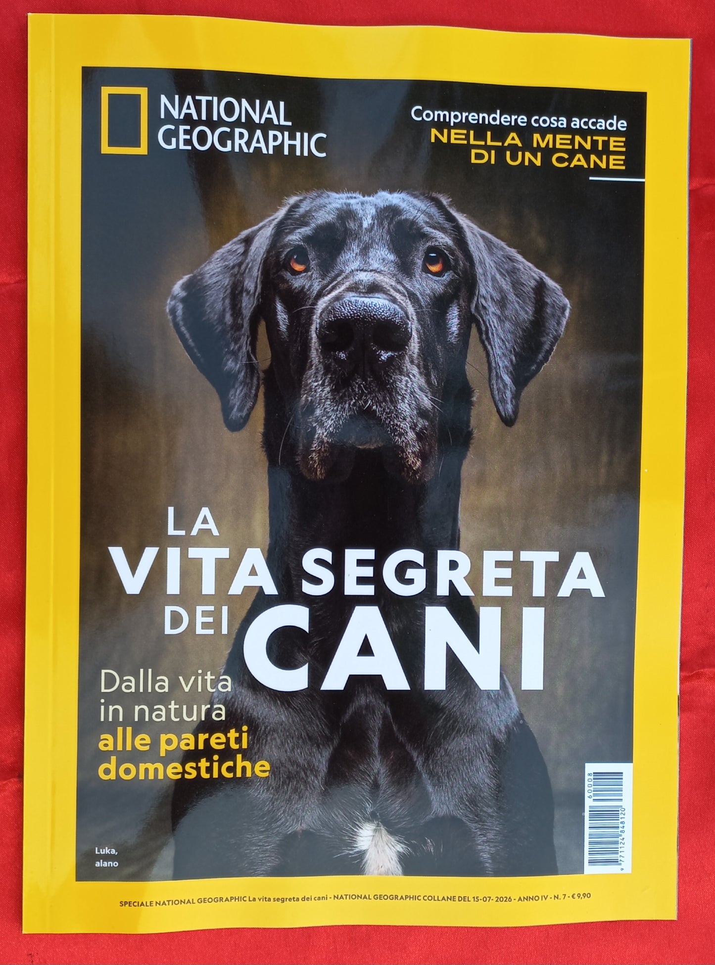 LA VITA SEGRETA DEI CANI - Speciale National Geographic